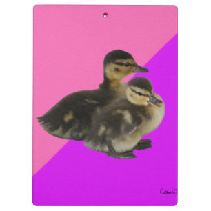 Babyenten auf rosa Himbeere und Lila Sorbet Klemmbrett
