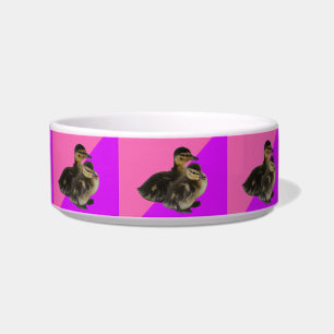 Babyenten auf rosa Himbeere und Lila Sorbet Napf
