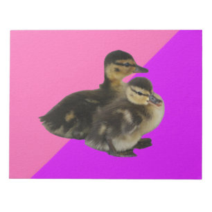 Babyenten auf rosa Himbeere und Lila Sorbet Notizblock