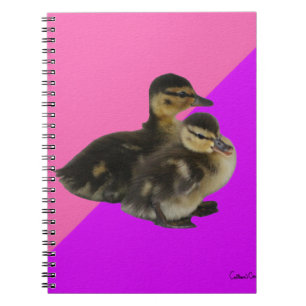 Babyenten auf rosa Himbeere und Lila Sorbet Notizblock