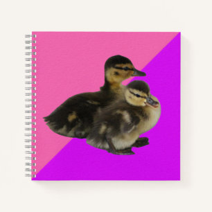 Babyenten auf rosa Himbeere und Lila Sorbet Notizbuch