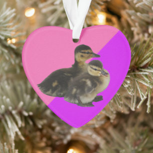 Babyenten auf rosa Himbeere und Lila Sorbet Ornament