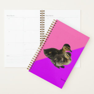 Babyenten auf rosa Himbeere und Lila Sorbet Planer