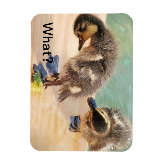Babyenten schauen sich was an? magnet (Vertikal)