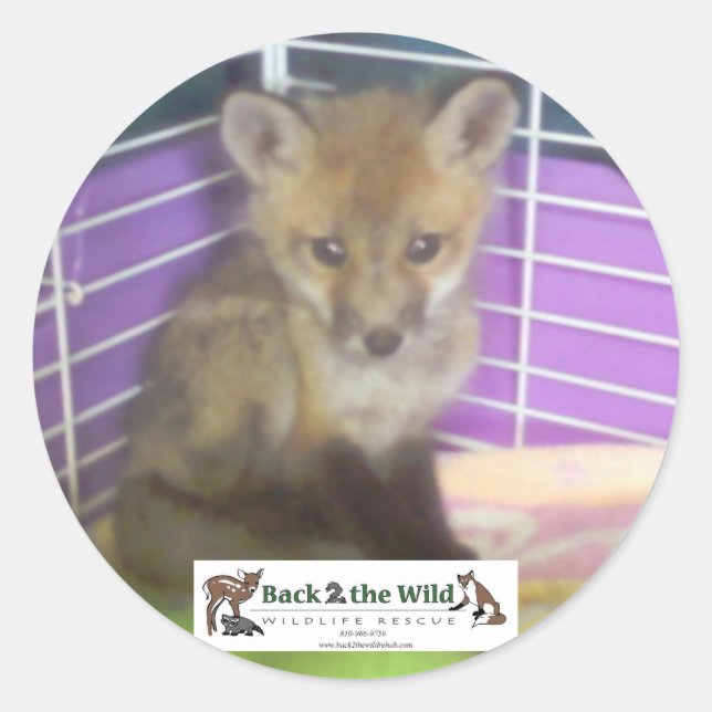 Babyfuchs Runder Aufkleber (Vorderseite)