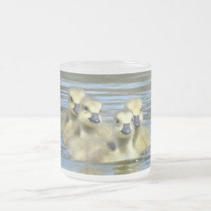 Babygänse Mattglastasse