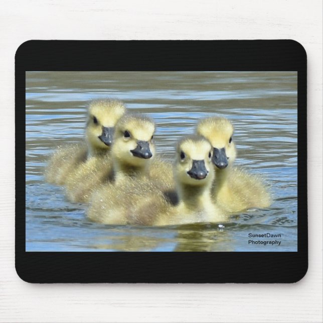 Babygänse Mousepad (Vorne)