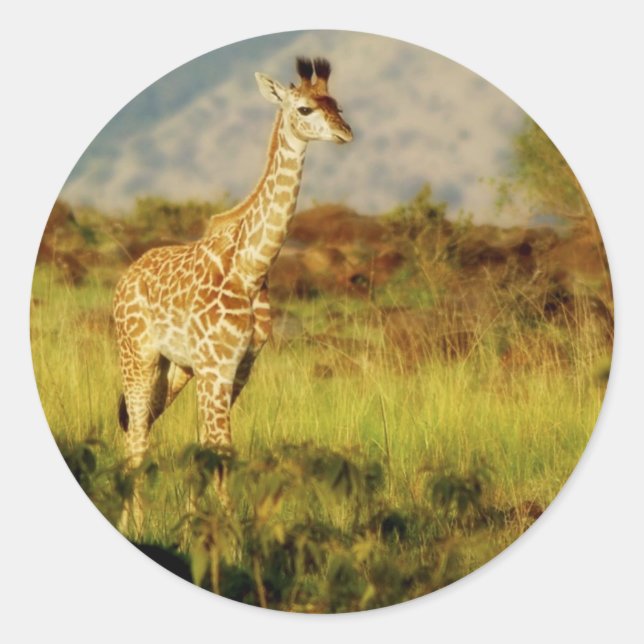 Babygiraffe für Wildtiere Runder Aufkleber (Vorderseite)