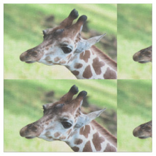 Babygiraffe Stoff