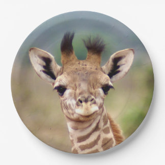 Babygiraffenbild, Kenia, Afrika | 9" Pappteller