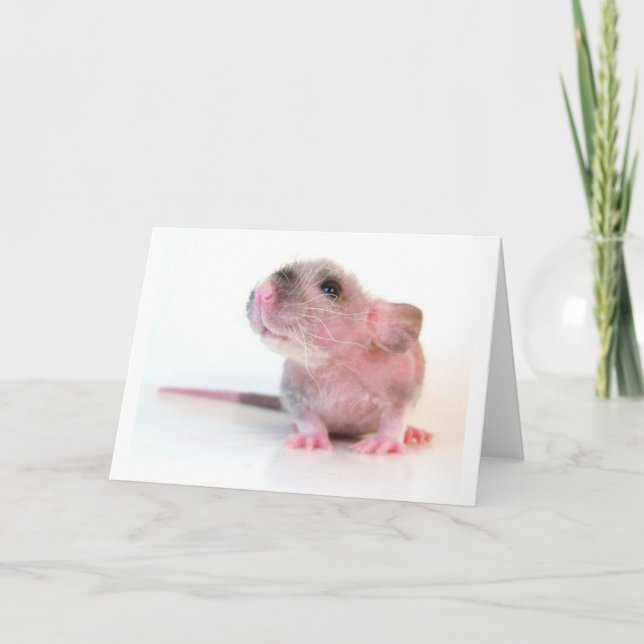 Babygobi-Ratte Karte (Vorderseite)