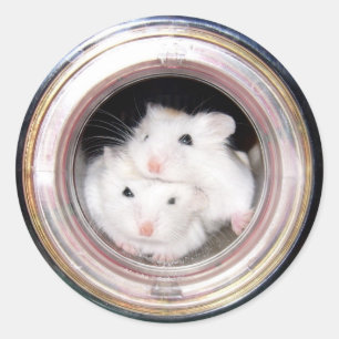 Babyhamster: Oben angehäuft! Runder Aufkleber