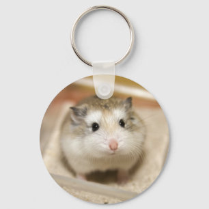 Babyhamster-Starren Schlüsselanhänger