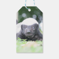 Babyhonigschild