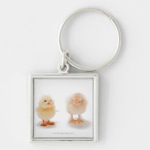Babyhuhn und mechanisches Huhn des Fakes Schlüsselanhänger