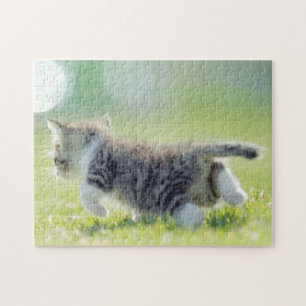Babykatze, die auf Grasfeld läuft