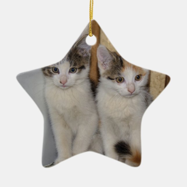 Babykatzen Keramikornament (Vorne)