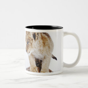 Babylöwe stehend auf Schildkröte, weißer Zweifarbige Tasse