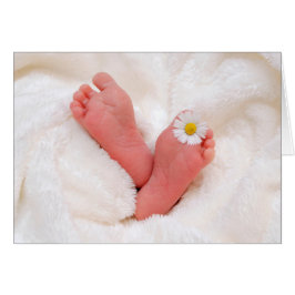 Babynahrung mit Daisy