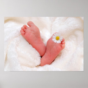 Babynahrung mit Daisy Poster