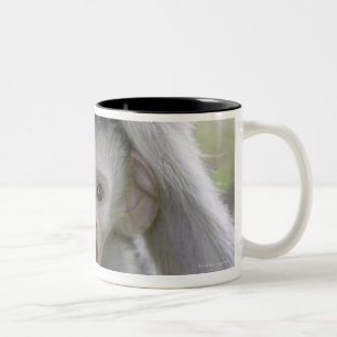 Babypavian unter seine Mutter Zweifarbige Tasse