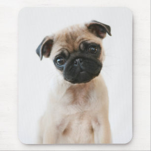 Babyportrait Mops Mousepad