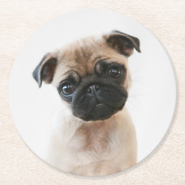 Babyportrait Mops Runder Pappuntersetzer (Vorderseite)