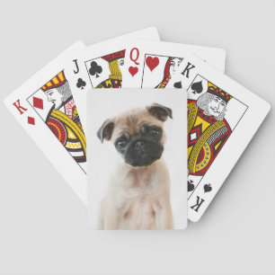 Babyportrait Mops Spielkarten