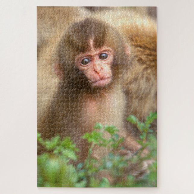 Babyportrait "Snow Monkey" (Vertikal)