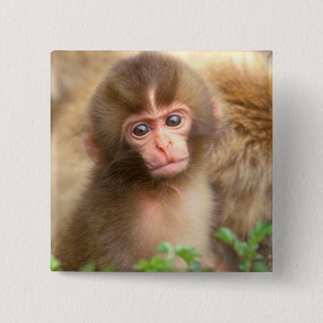Babyportrait "Snow Monkey" Button (Vorderseite)