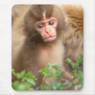 Babyportrait "Snow Monkey" Mousepad
