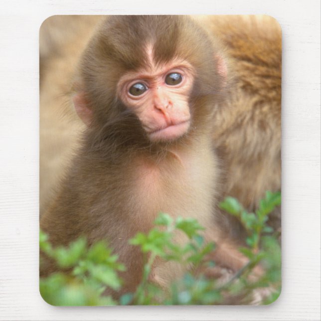 Babyportrait "Snow Monkey" Mousepad (Vorne)