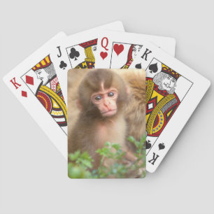 Babyportrait "Snow Monkey" Spielkarten