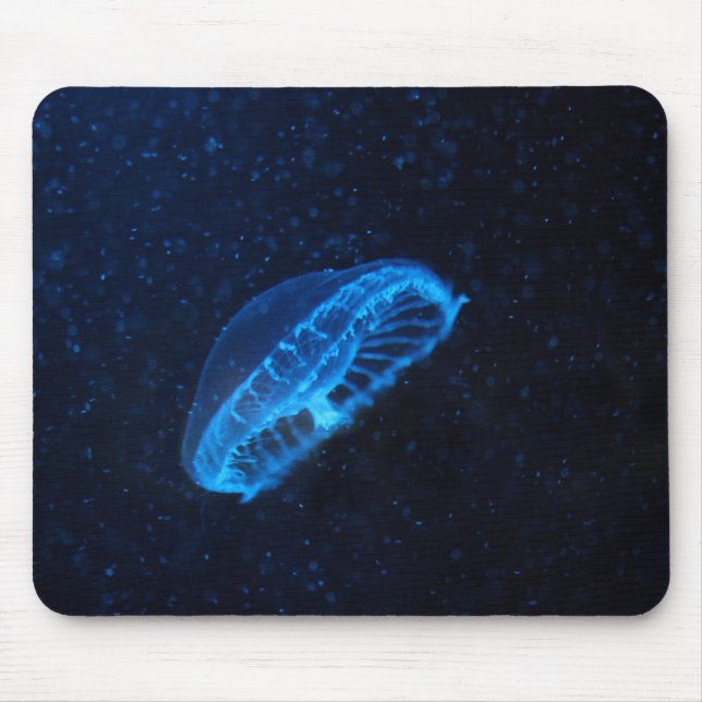 BabyQuallen Mousepad (Vorne)