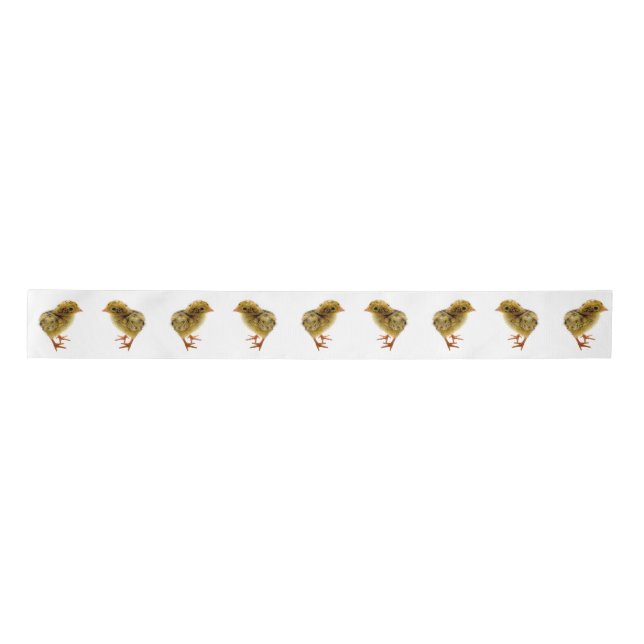 Babyquiller Satinband (Vorderseite)