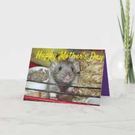 Babyratte Muttertagskarte Karte