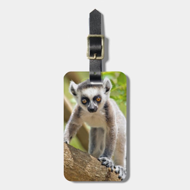 Babyringschwanz Gepäckanhänger (Vorderseite vertikal)