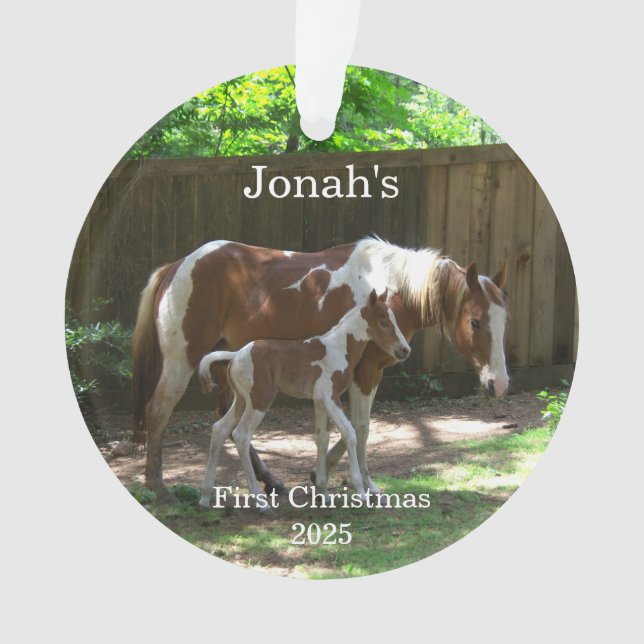 Baby's 1. Weihnachtshorn Akryler Ornament (Vorderseite)