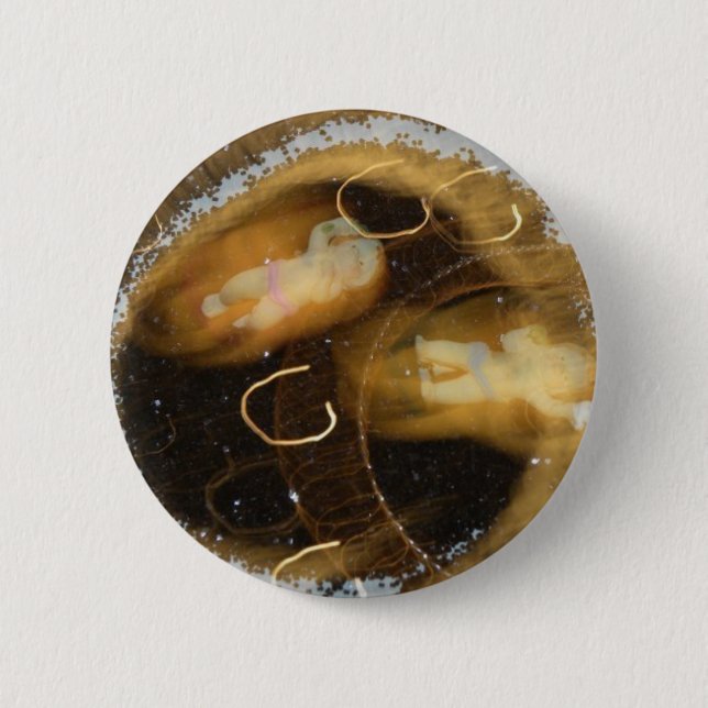 Babys im Raum Button (Vorderseite)