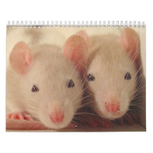 Babys Kalender