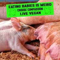 Babys zu essen ist seltsam, Veganer Aktivismus,