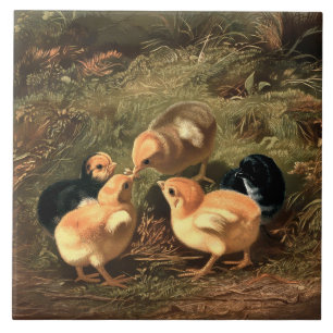 Babyschickens aus der viktorianischen Ära Fliese