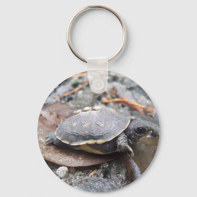 Babyschildkröte Schlüsselanhänger (Vorderseite)