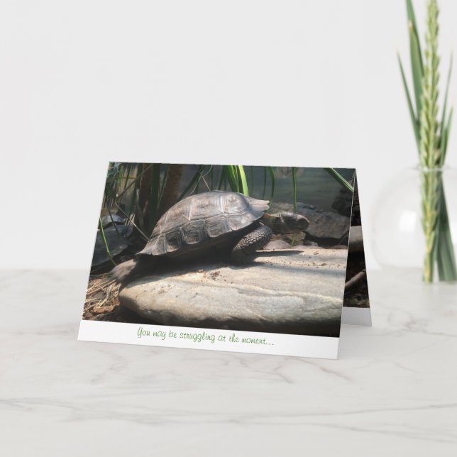 Babyschildkröten-Grußkarte (Ermutigung) Karte (Vorderseite)
