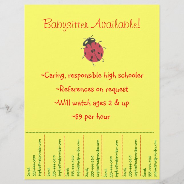 Babysitter-Flyer - Ladybug Flyer (Vorne)
