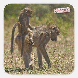 Babysorgfalt Quadratischer Aufkleber