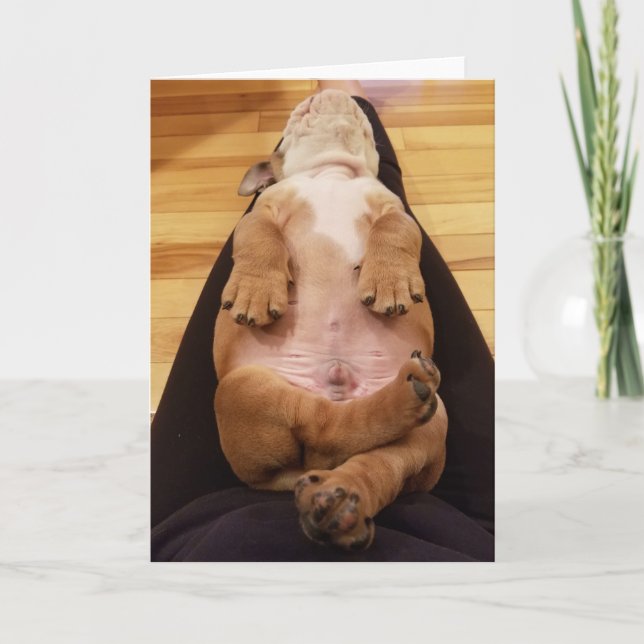 BabyThor die Bulldoggen-Gruß-Karte Karte (Vorderseite)