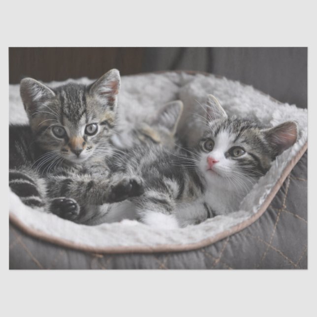 Babywaschpapier Seidenpapier (Vorderseite)