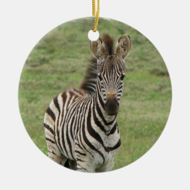 Babyzebra-Verzierung Keramikornament (Vorne)