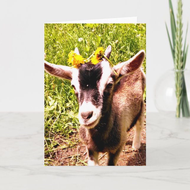 Babyziege mit Blume - Blankokarte Karte (Vorderseite)